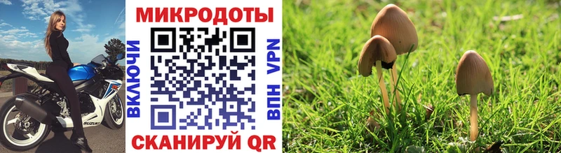 цена наркотик Рязань Галлюциногенные грибы прущие грибы