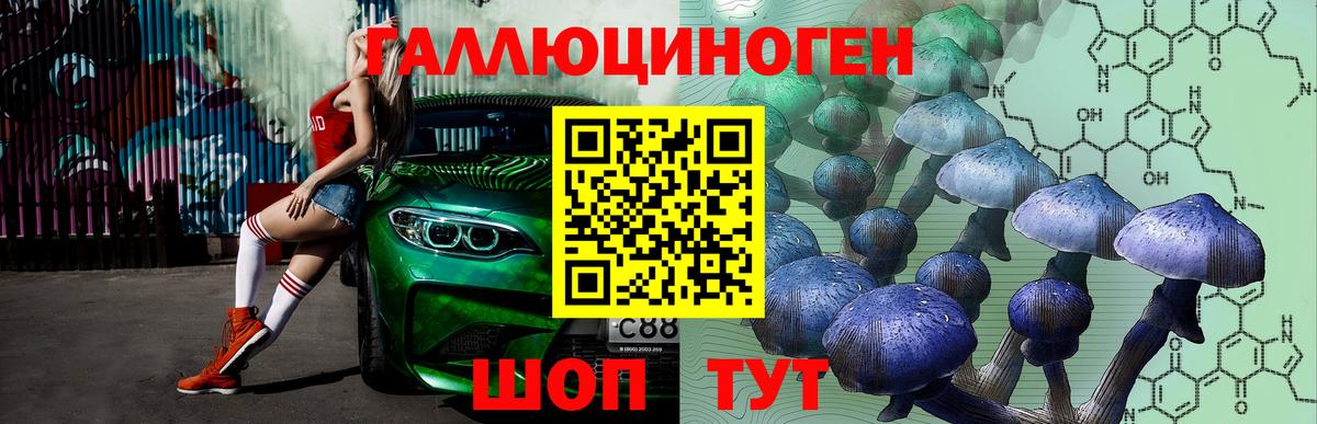 Рязань  Галлюциногенные грибы Magic Shrooms  наркошоп  Вход с VPN 